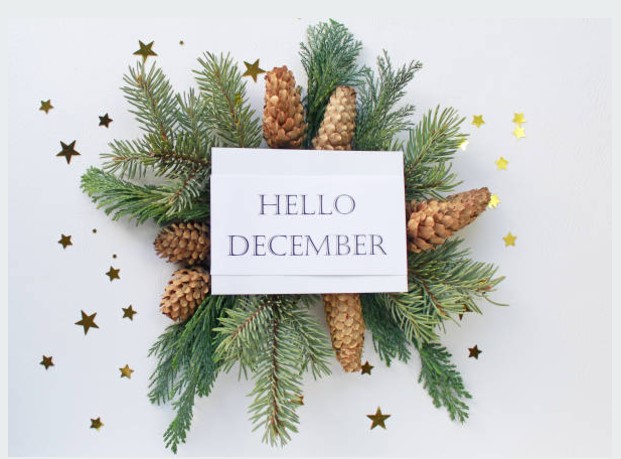 RCPS Newsletter - December 1, 2024